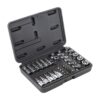 Kit juego especial de puntas torx spline Mikel´s